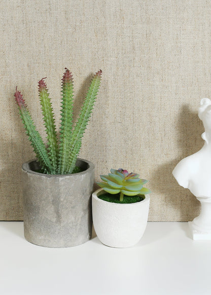 Official Key Items Artificial Succulents - Green Dudleya