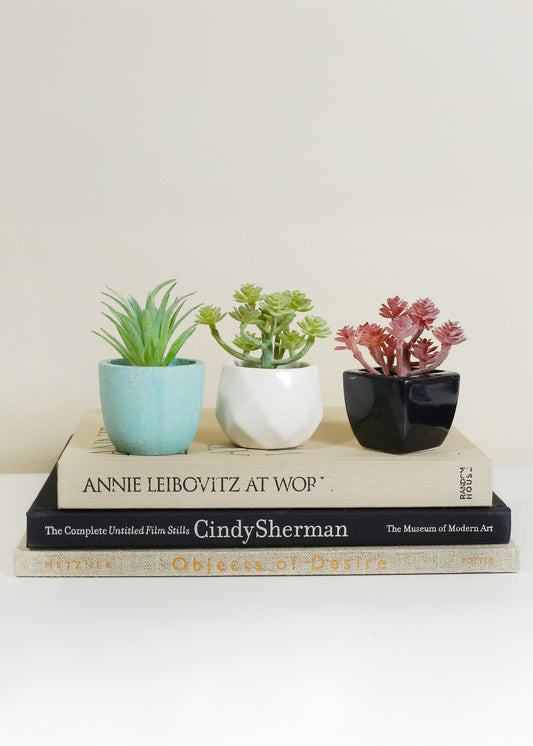 Official Key Items Artificial Succulents - Green Cactus Gain