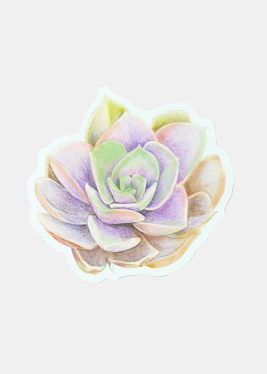 Official Key Items Sticker - Succulent