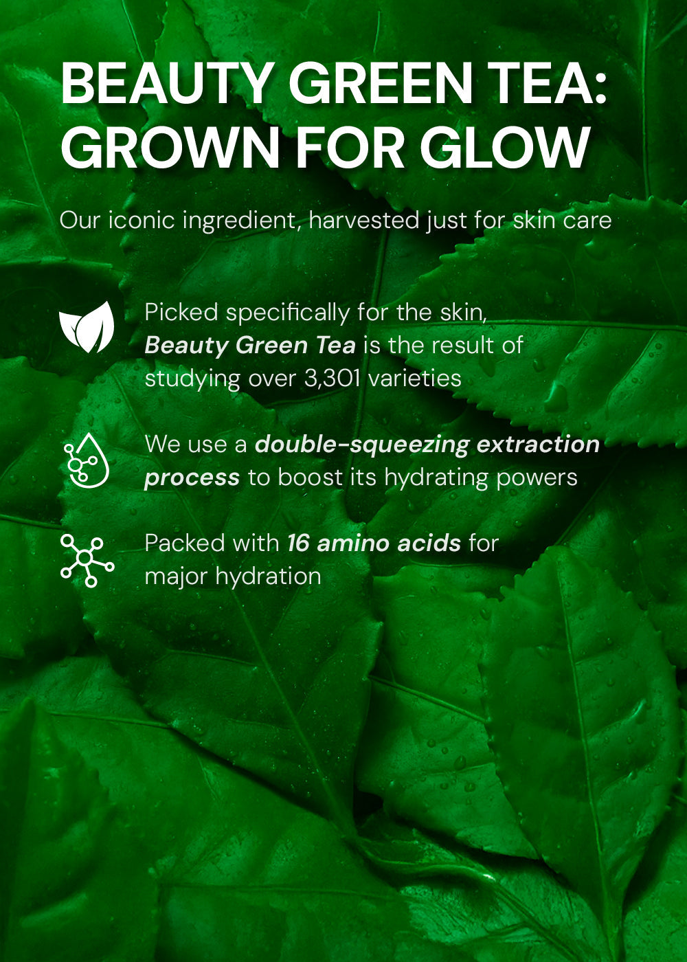 INNISFREE Green Tea Seed Hyaluronic Acid Cream 50ml