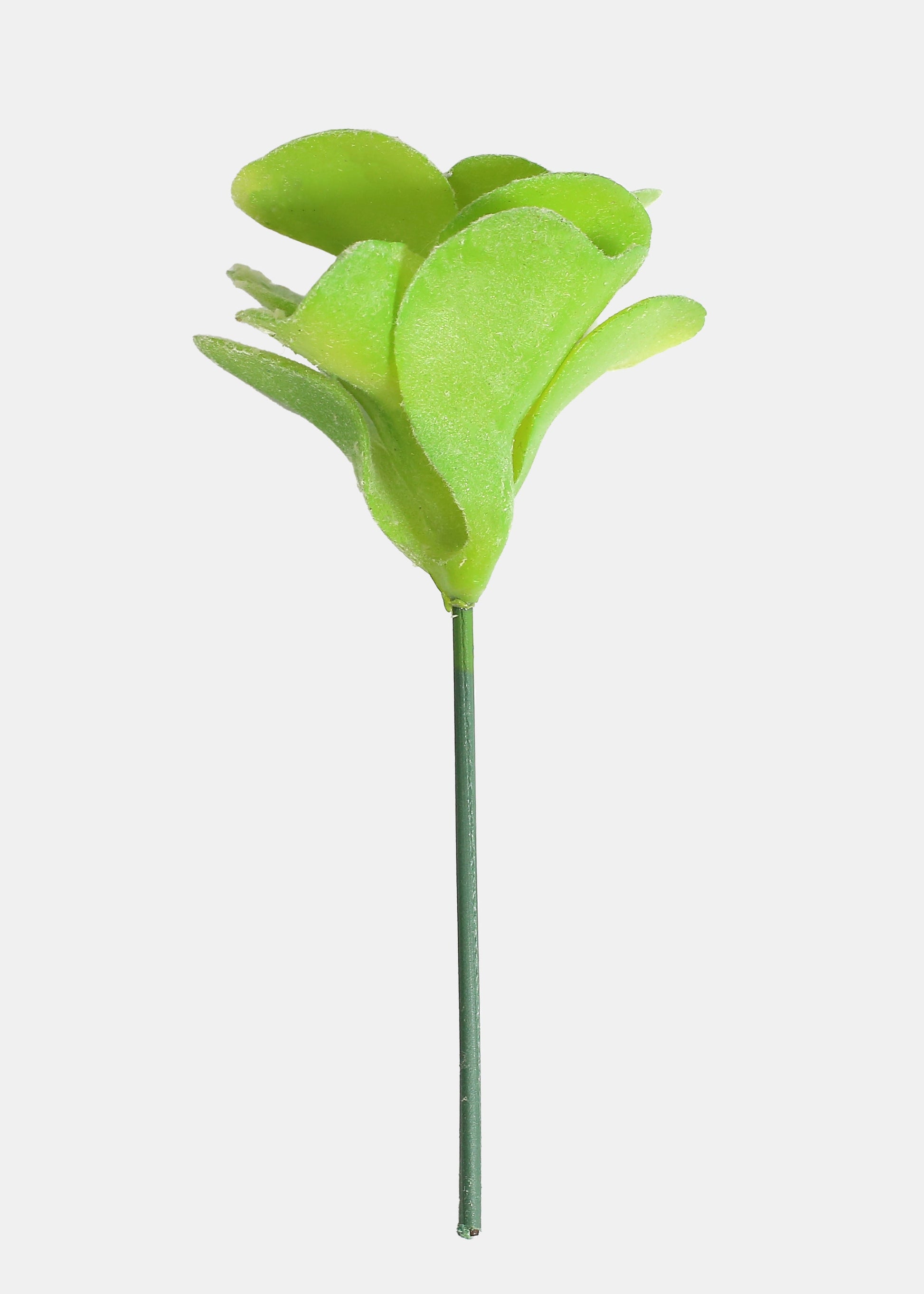 Official Key Items Artificial Succulents - Green Desert Rose