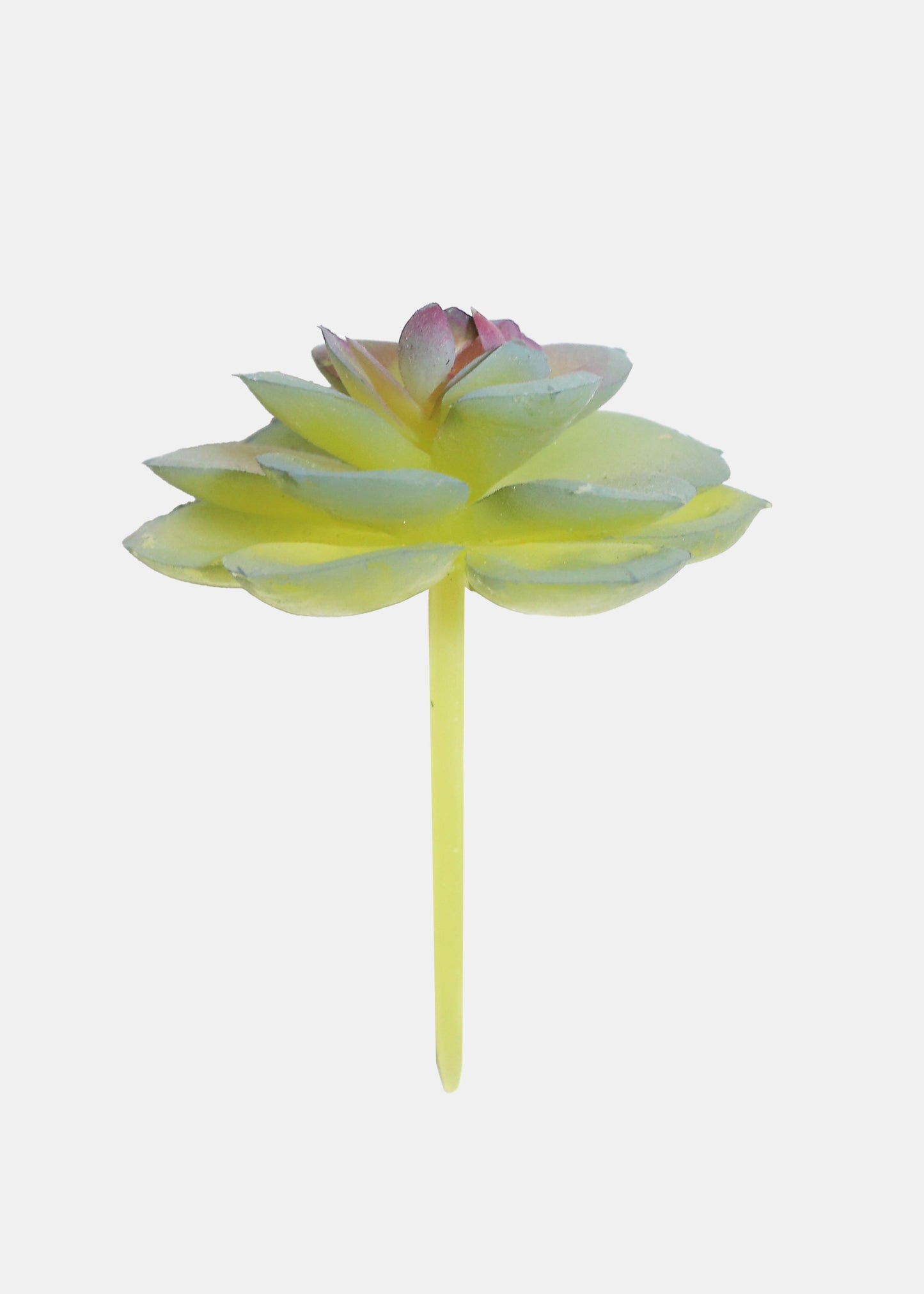 Official Key Items Artificial Succulents - Green Dudleya