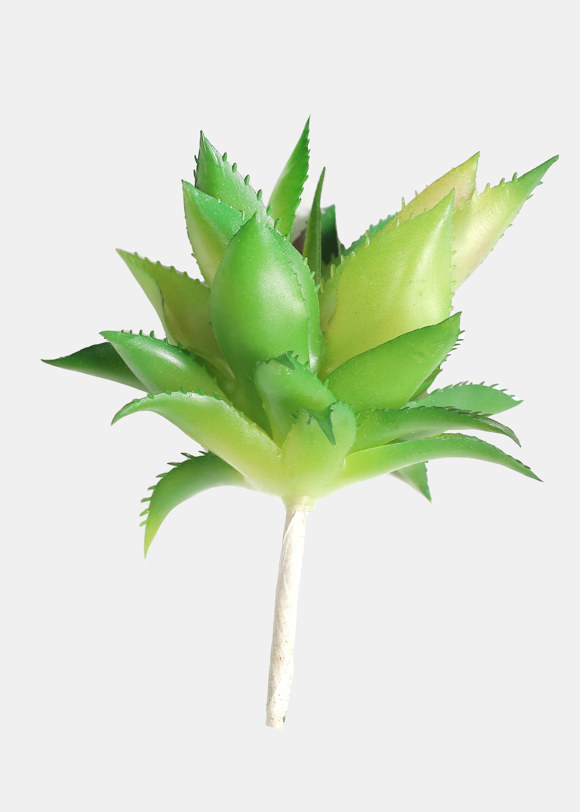 Official Key Items Artificial Succulents - Green Pineapple Head Bonsai