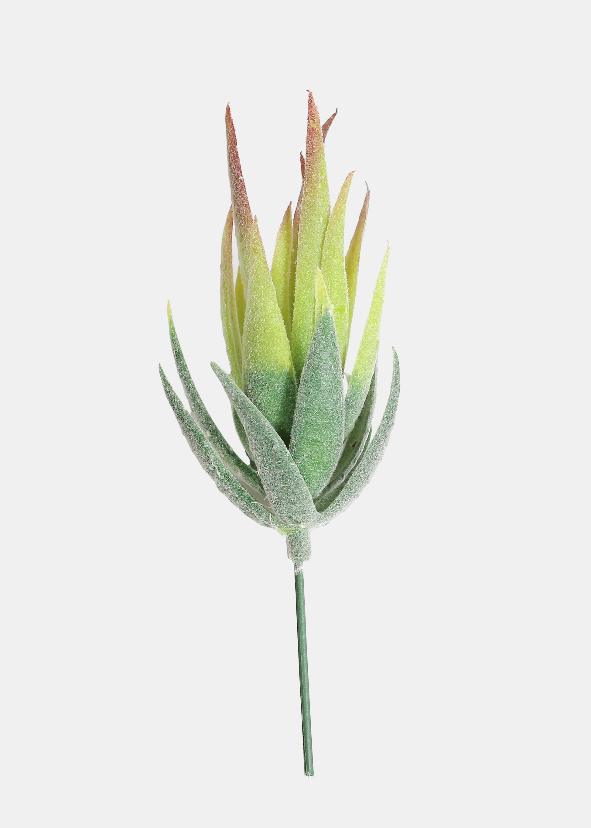Official Key Items Artificial Succulents - Green Tiger Skin Aloe
