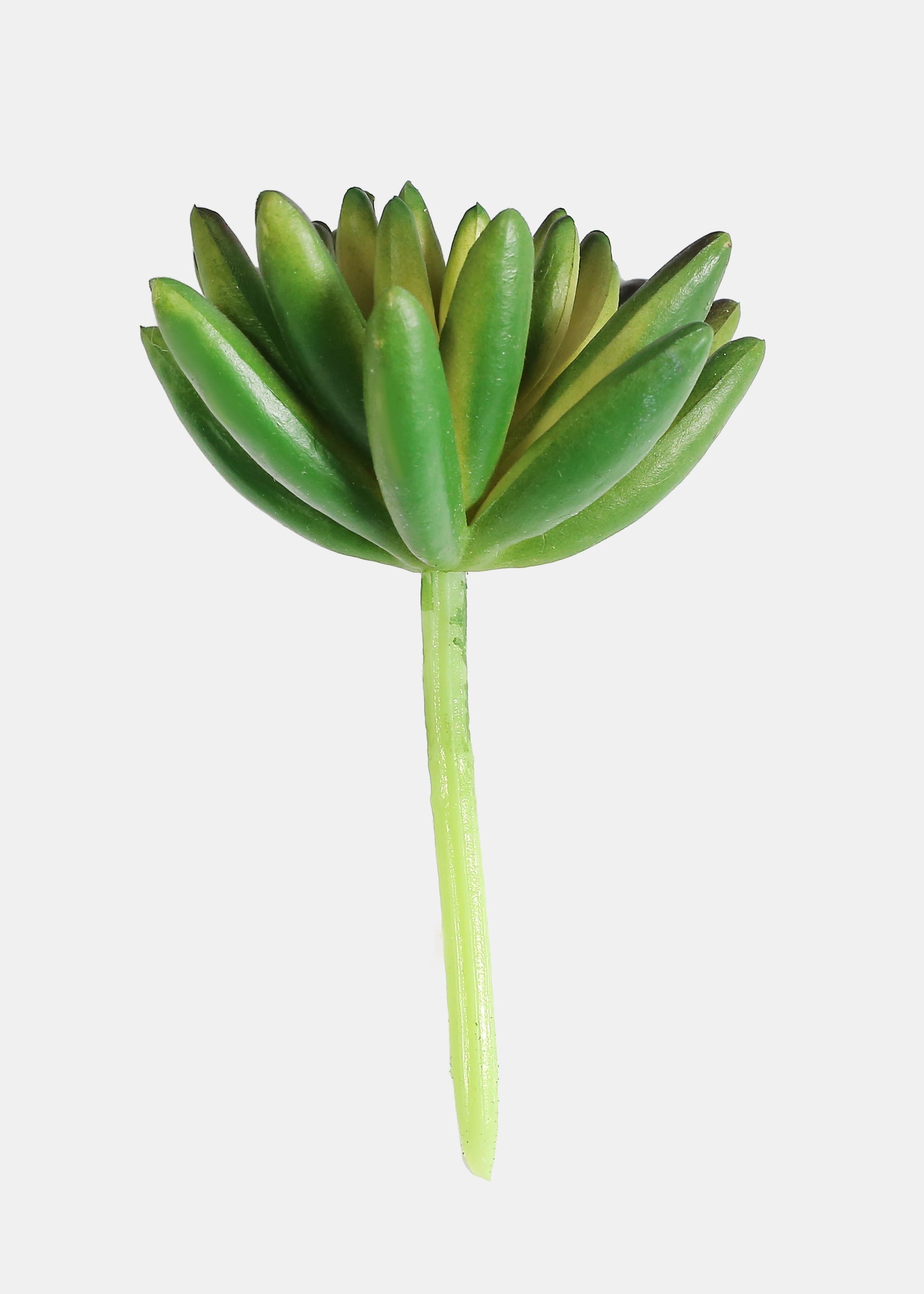 Official Key Items Artificial Succulents - Green Spike Rosette