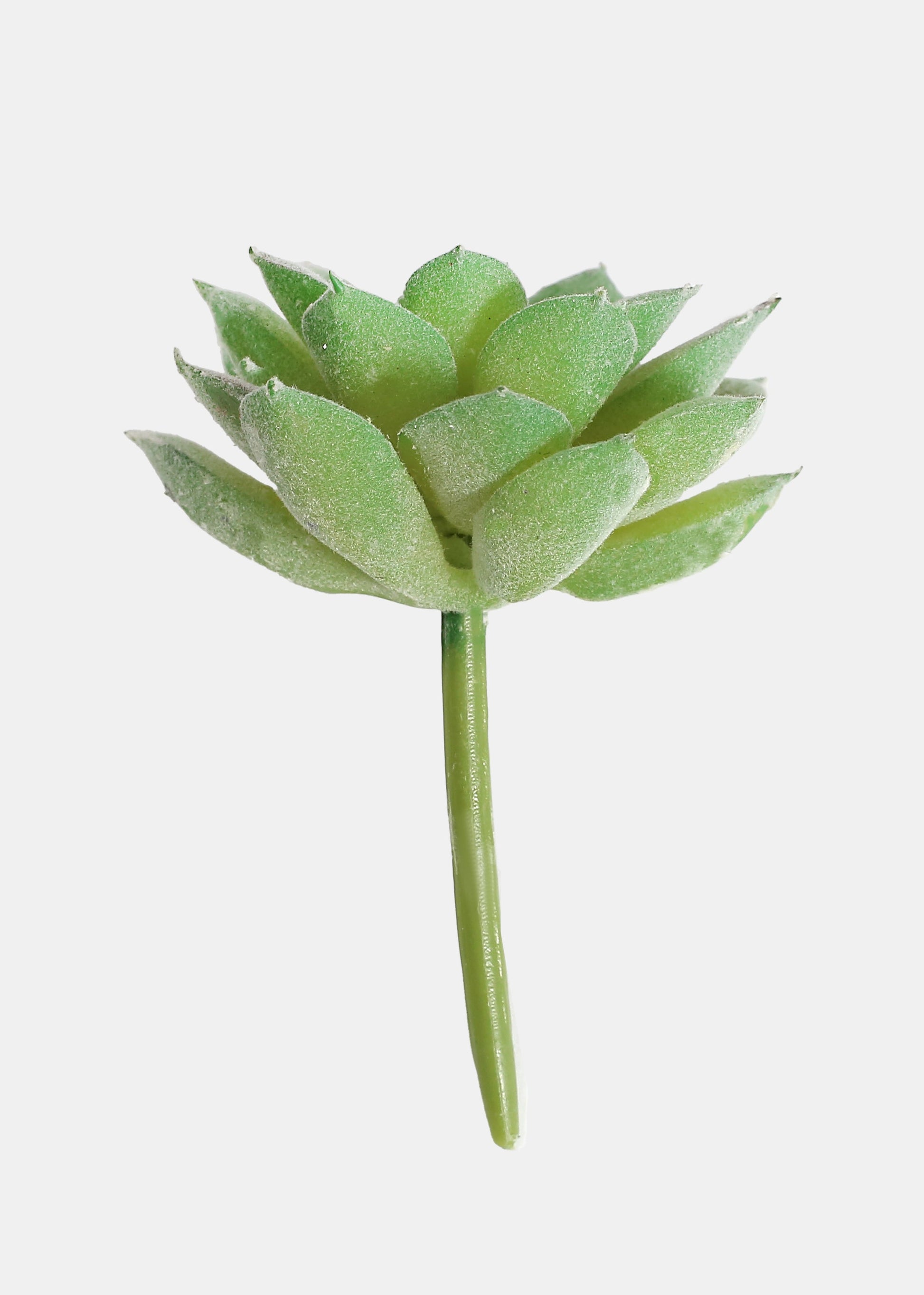 Official Key Items Artificial Succulents - Green Lotus