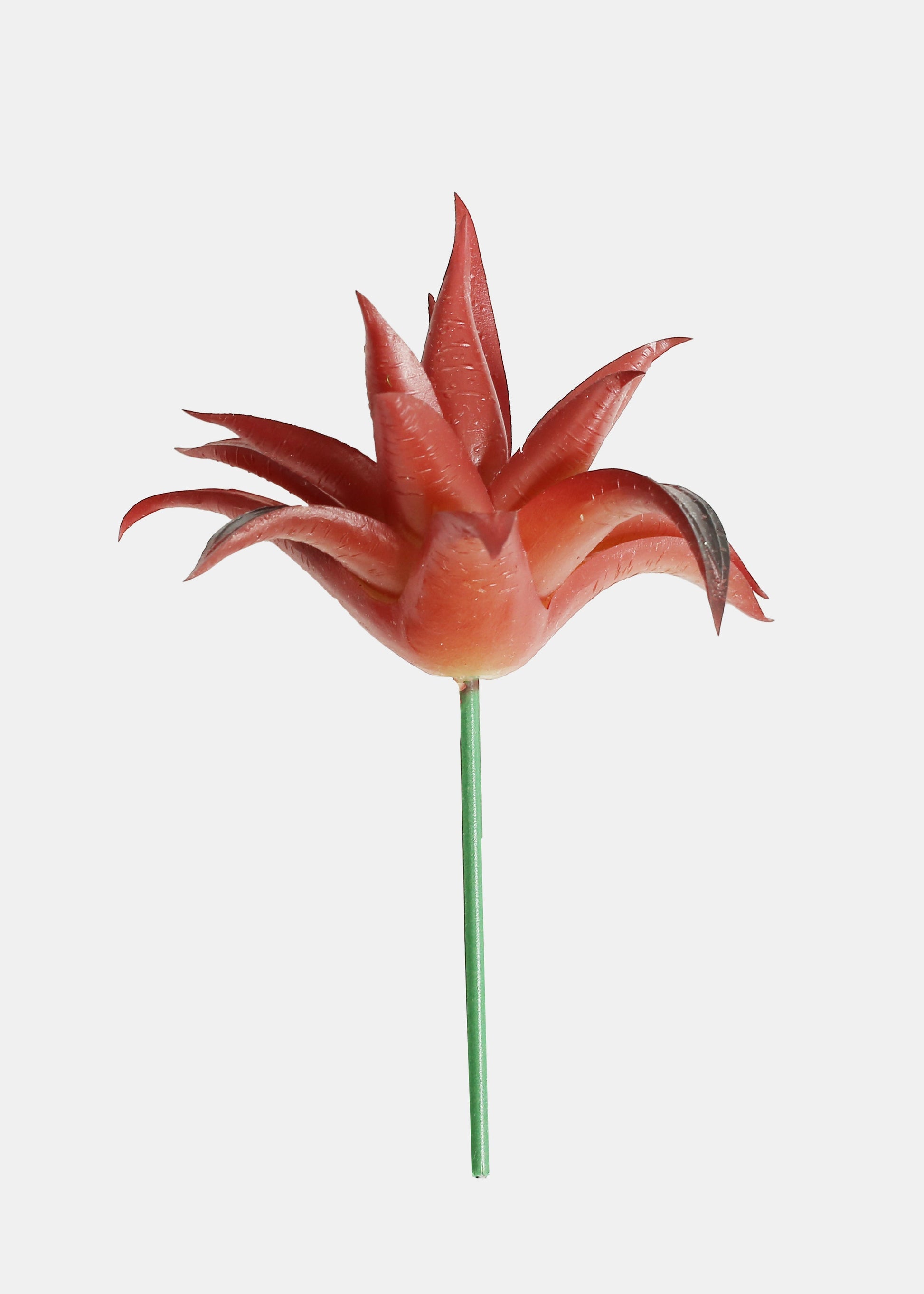 Official Key Items Artificial Succulents - Red Small Mouse Aloe