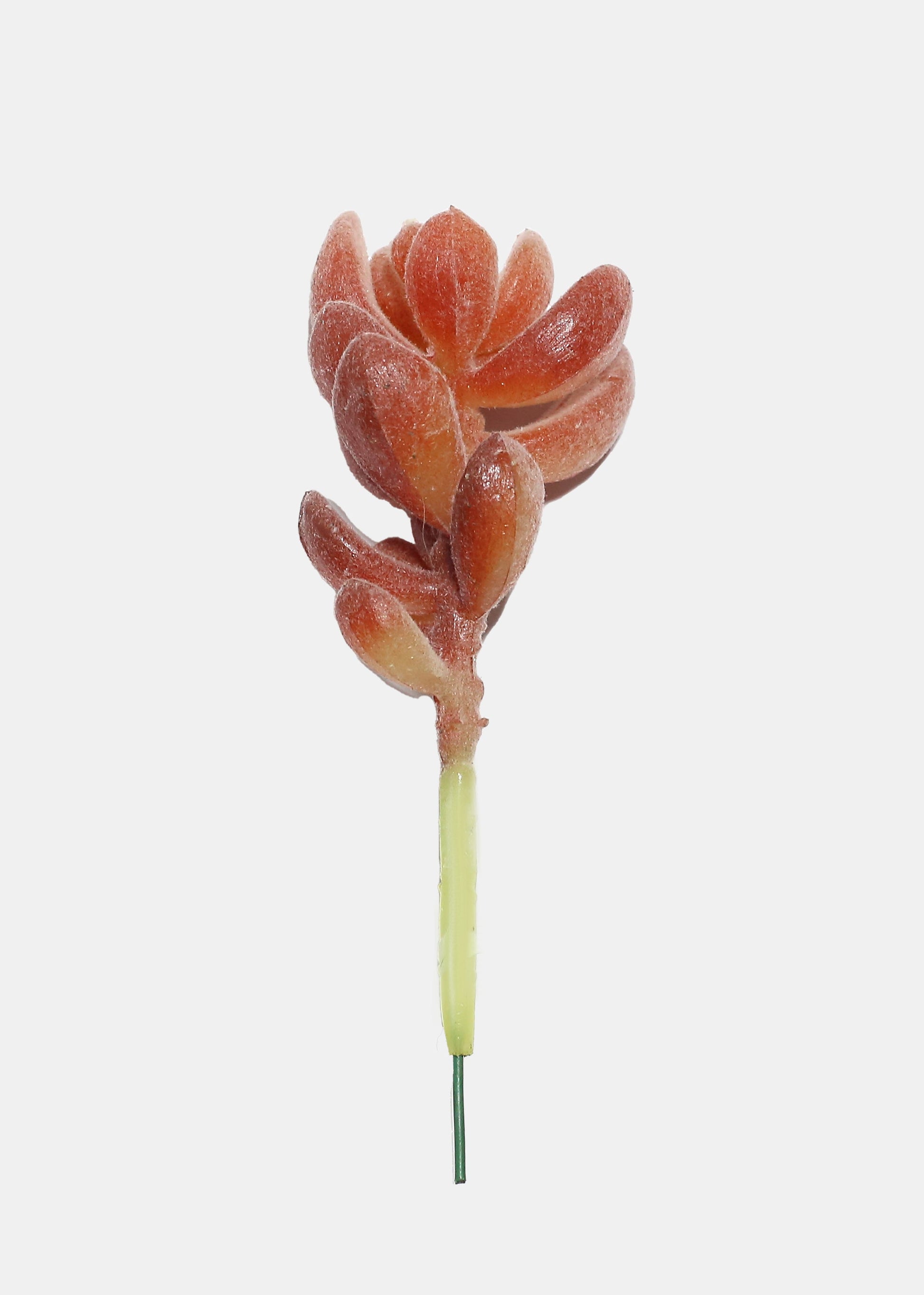 Official Key Items Artificial Succulents - Pink Indian Sedum