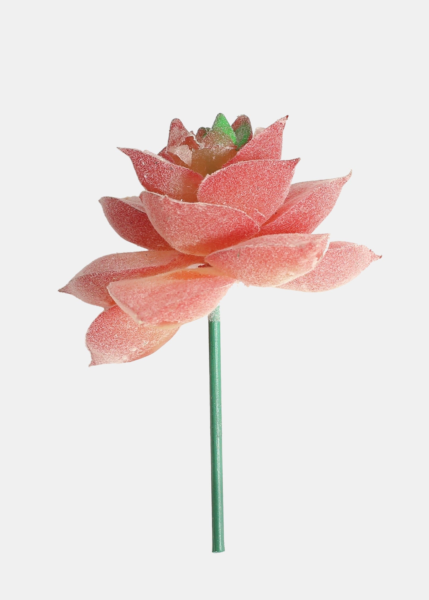 Official Key Items Artificial Succulents - Pink Echeveria Purpusorum