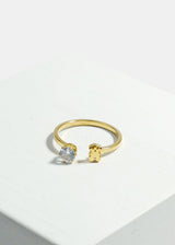 Gold Teddy Bear