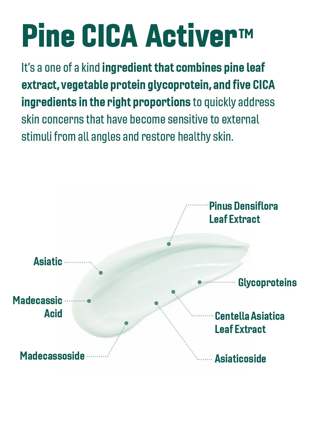 ROUND LAB Pine Calming Cica Cream 50ml