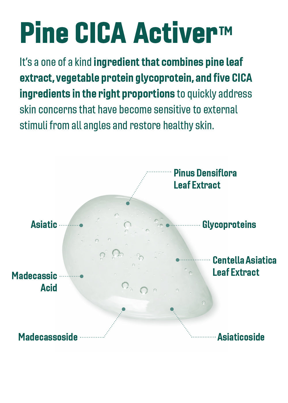 ROUND LAB Pine Calming Cica Toner 250ml