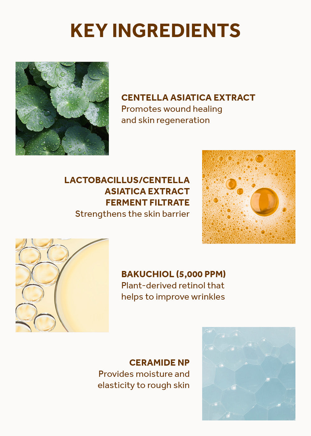 SKIN1004 Madagascar Centella Probio-Cica Bakuchiol Eye Cream 20ml