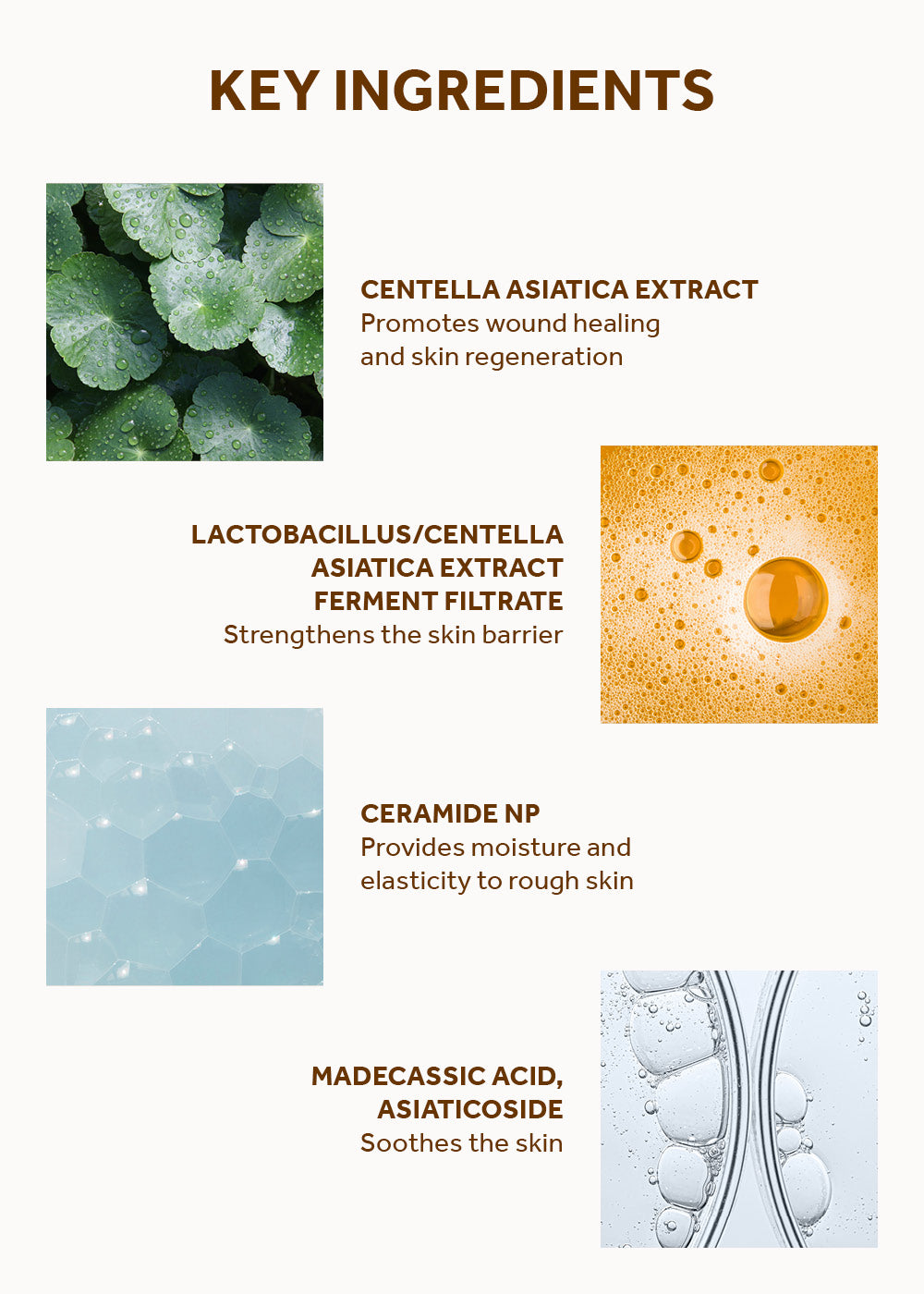 SKIN1004 Madagascar Centella Probio-Cica Intensive Ampoule