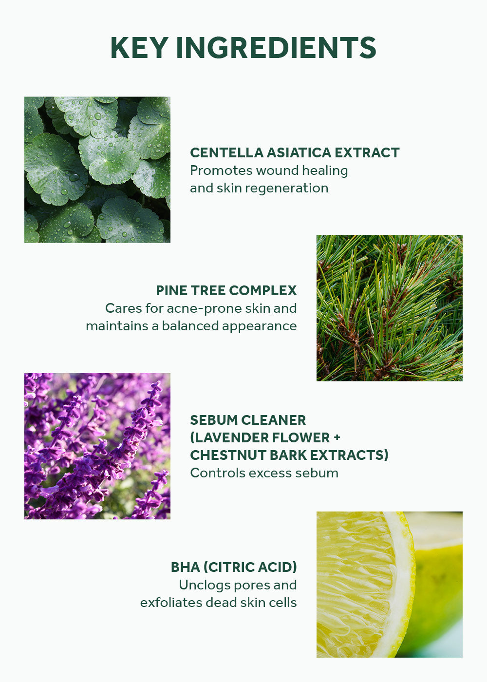 SKIN1004 Madagascar Centella Tea-Trica Purifying Toner 210ml