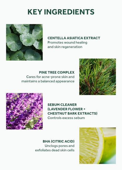 SKIN1004 Madagascar Centella Tea-Trica Purifying Toner 210ml