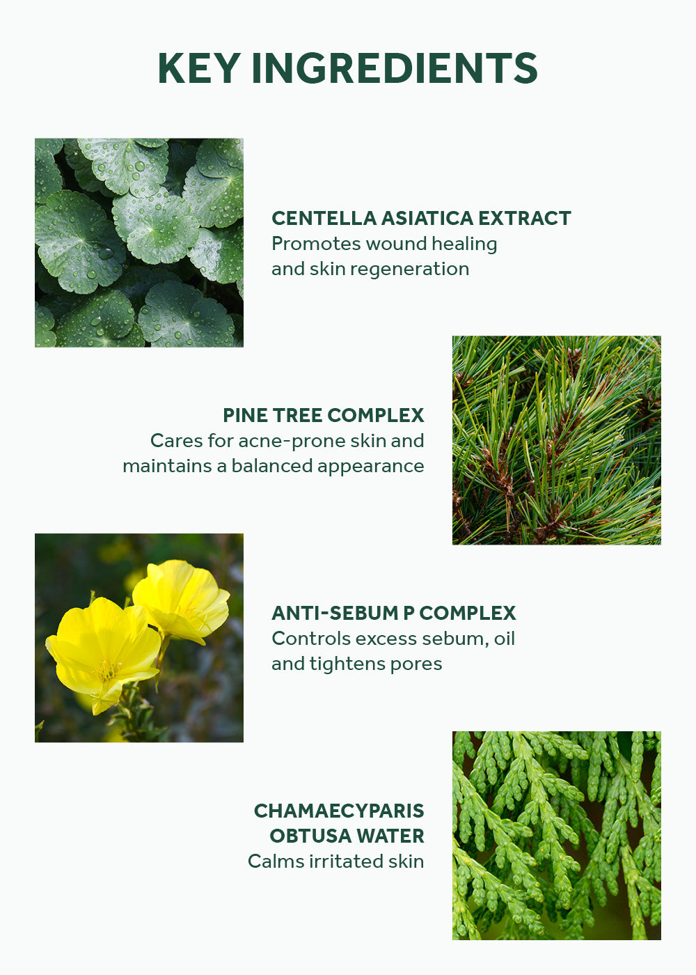 SKIN1004 Madagascar Centella Tea-Trica Relief Ampoule 100ml