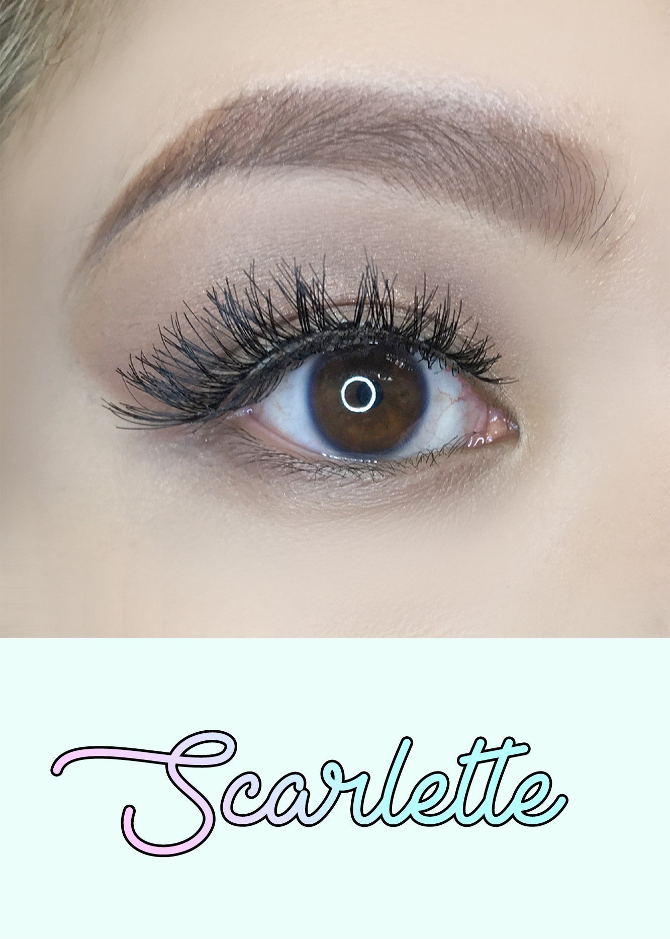 AOA Studio Eyelashes - Scarlette 6-Pack