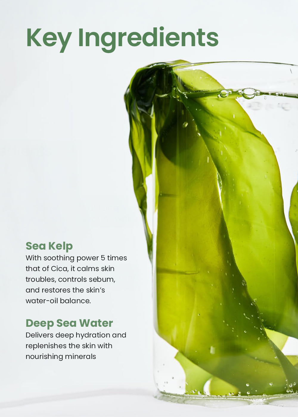 Biodance Refreshing Sea Kelp Real Deep Mask