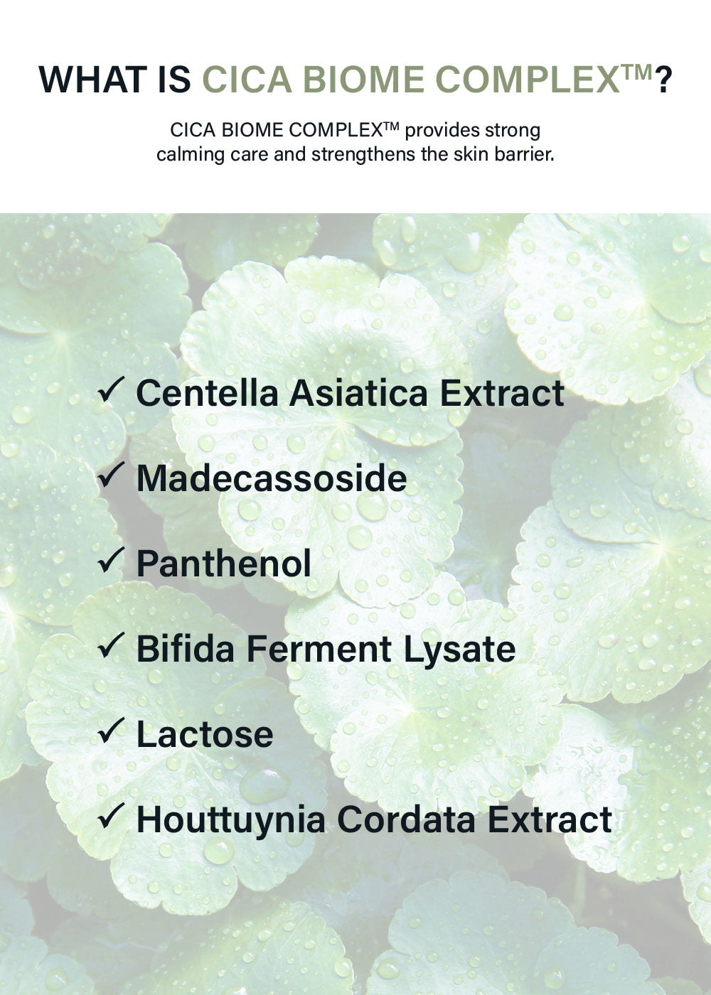 celimax Ji Woo Gae Cica BHA Acne Foam Cleansing 150ml