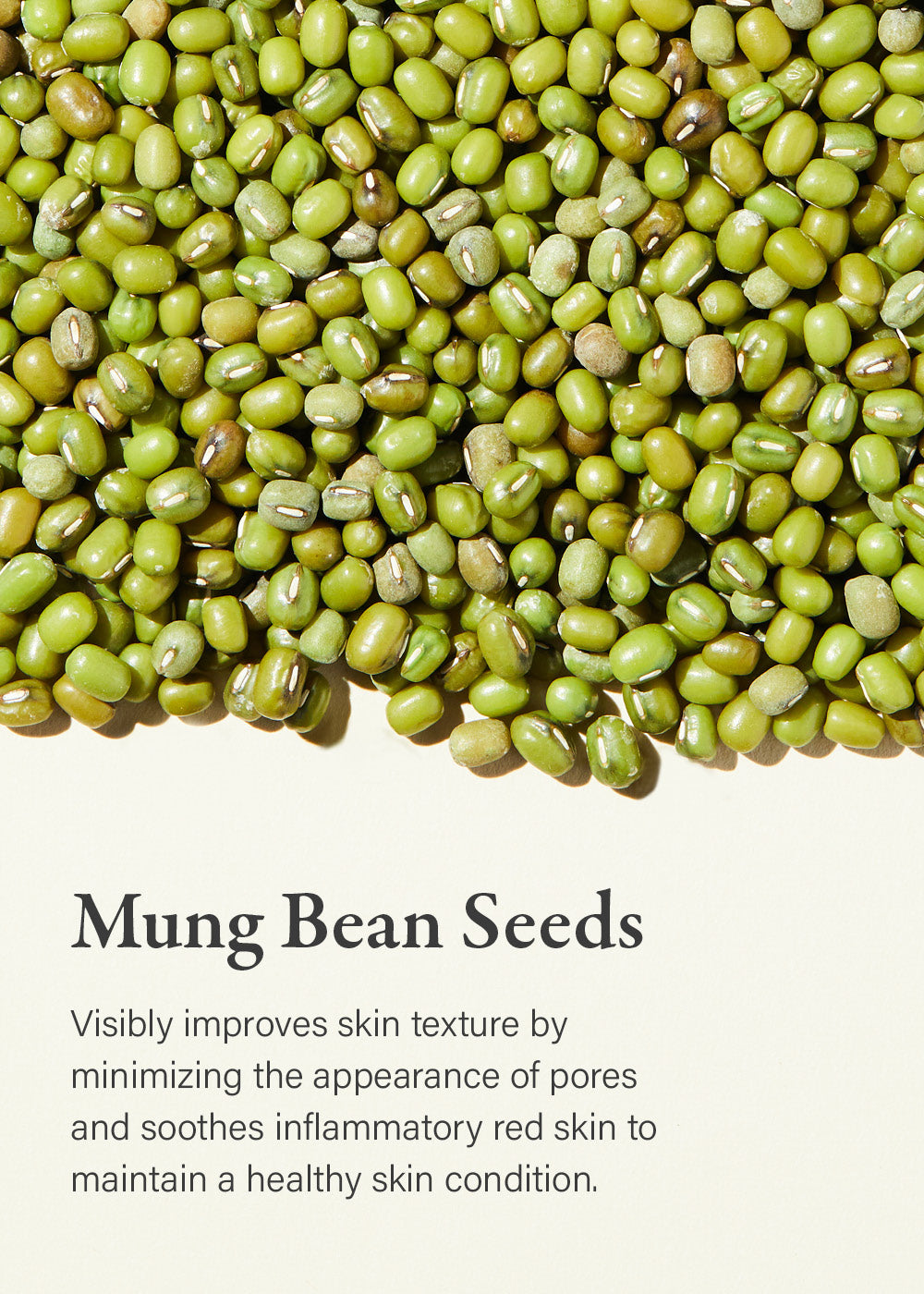 mixsoon Mung Bean Seed Essence 100ml