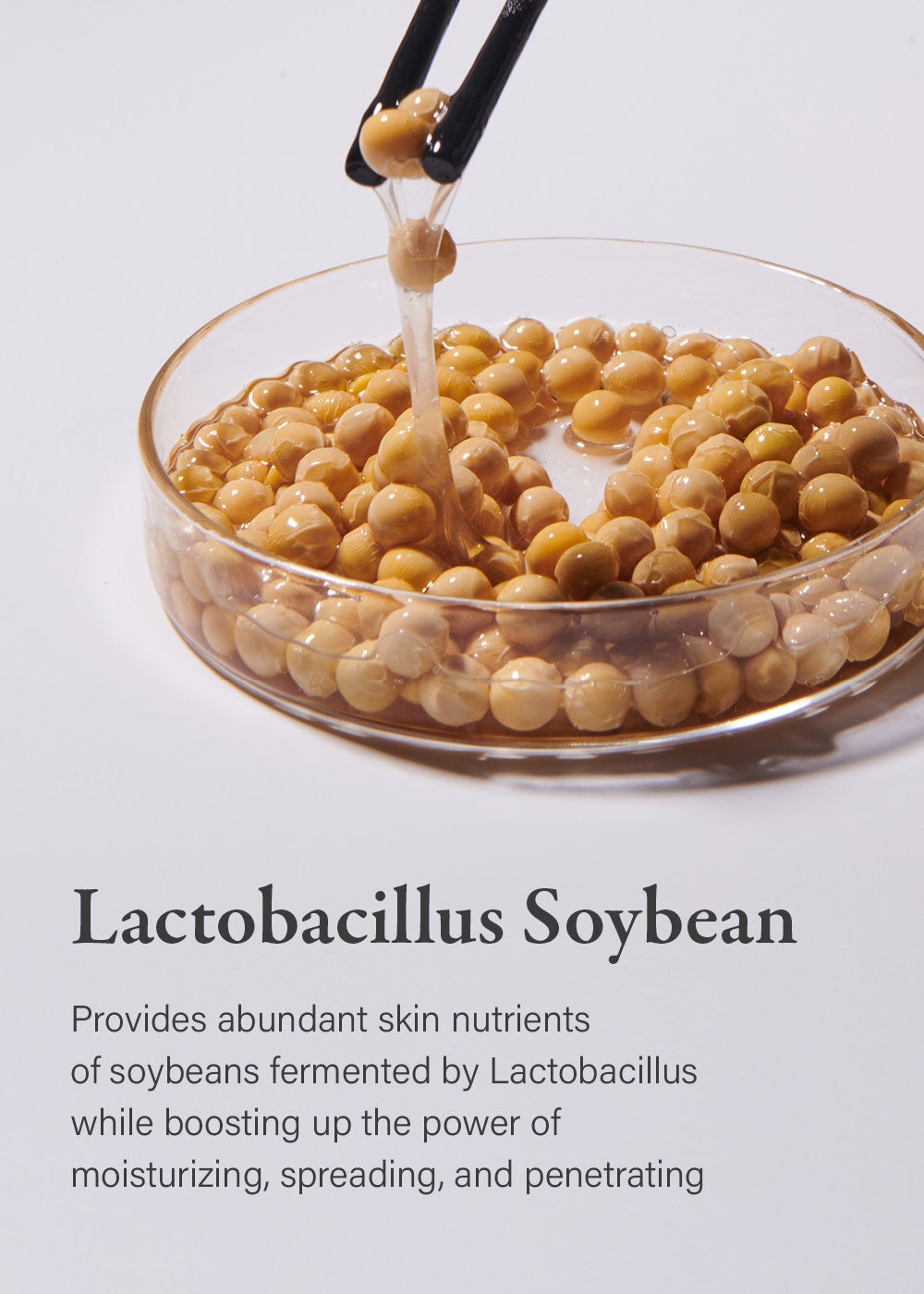 mixsoon Soybean Milk Pad (10 Pack)